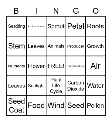 The Plant Life Cycle BINGO Card
