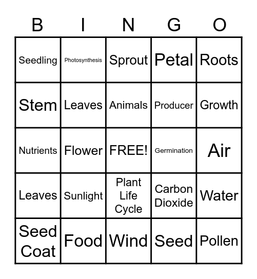 The Plant Life Cycle BINGO Card