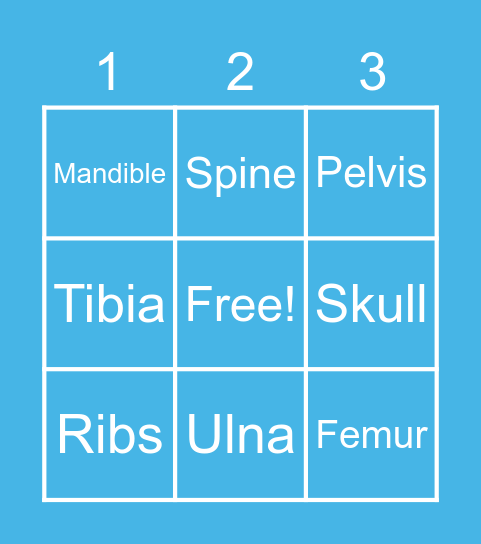 BONES Bingo Card