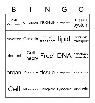 Science Vocab Bingo Card