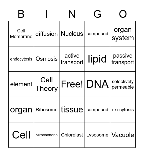 Science Vocab Bingo Card