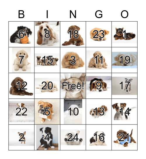 Puppy Bingo Card