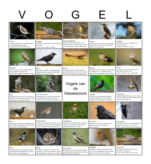 Vogelspot Wandeling Bingo Card