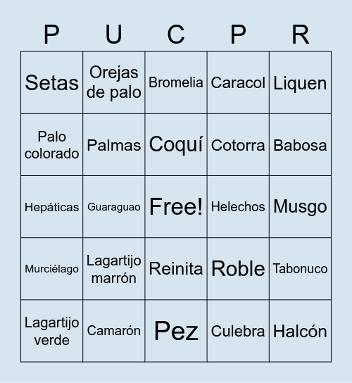 EL YUNQUE Bingo Card