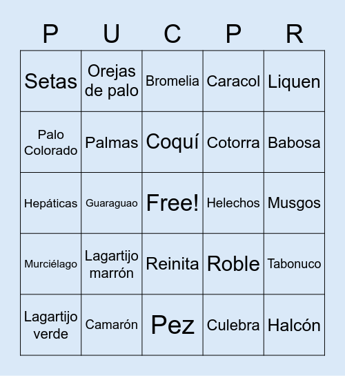 EL YUNQUE Bingo Card