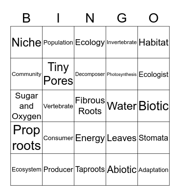B-1 Ecosystem Bingo Card
