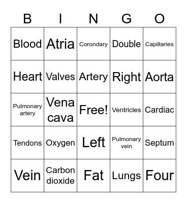 The Circulatory System Bingo Card
