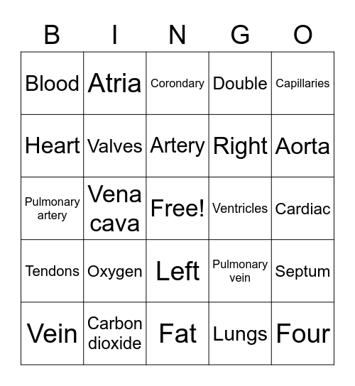 The Circulatory System Bingo Card