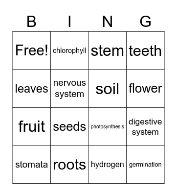 vocab test -1 Bingo Card