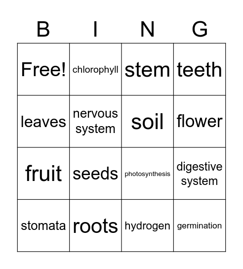 vocab test -1 Bingo Card