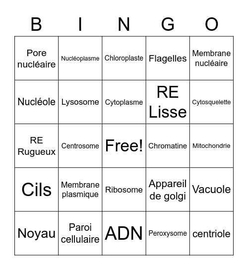 Les cellules Bingo Card