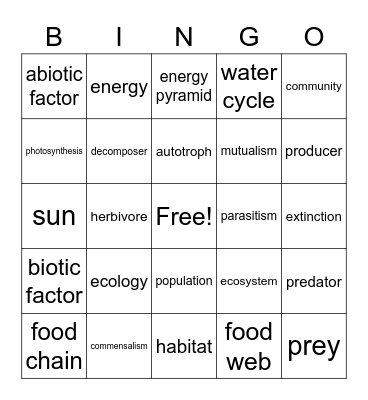 Ecology Bingo Card