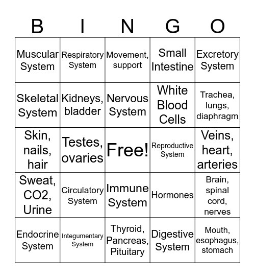 Body Systems  Bingo Card