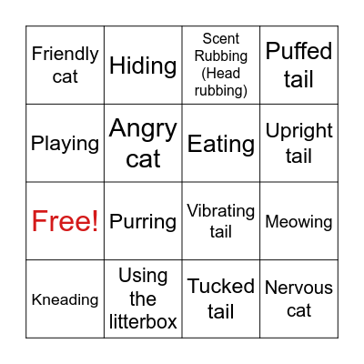 Cat Behavior Bingo Card