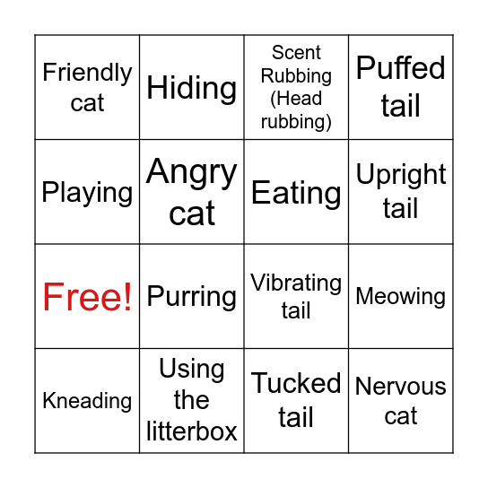 Cat Behavior Bingo Card