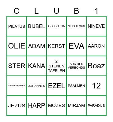 BIJBELSE BINGO Card