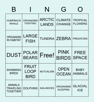 Our Planet Bingo Card