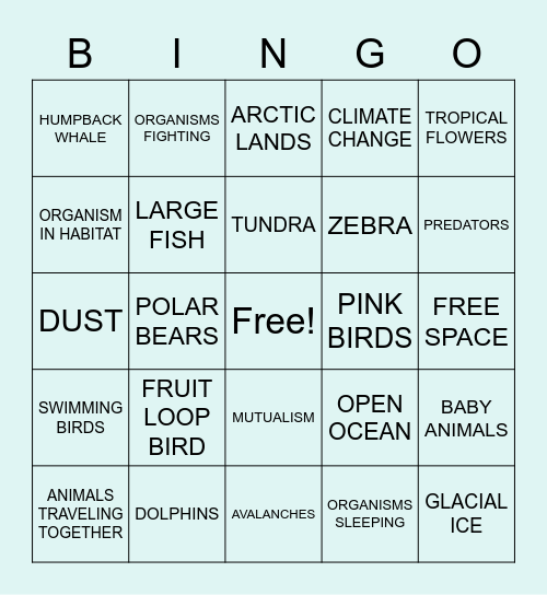 Our Planet Bingo Card