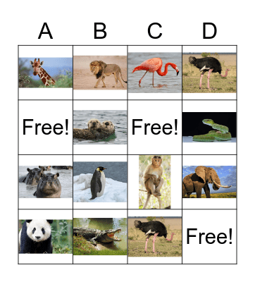 Zoo Animals Bingo Card