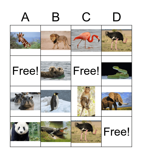 Zoo Animals Bingo Card