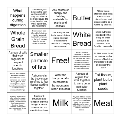 Unit 7.3 Review Bingo Card