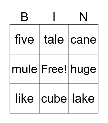 Silent e Bingo Card