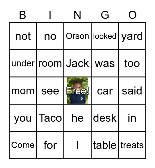 Looking for Taco Bingo Card