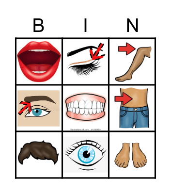 lichaamsdelen Bingo Card