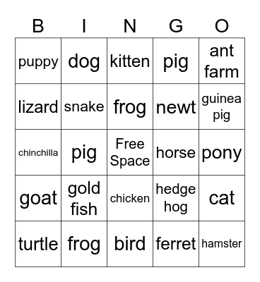 PETS Bingo Card