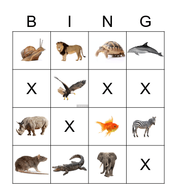 animals Bingo Card