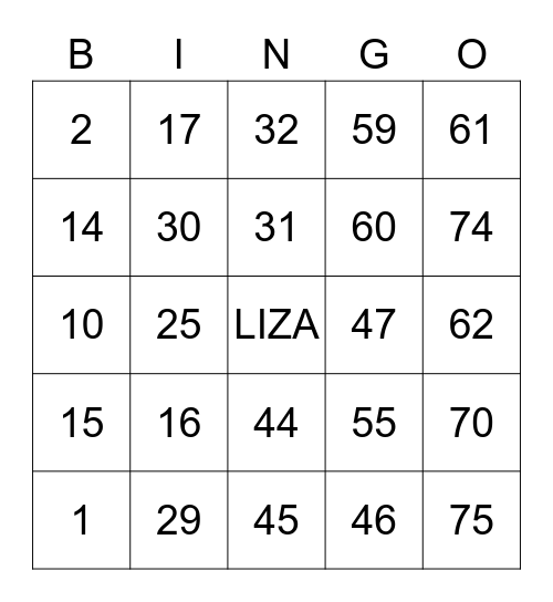 LIZA Bingo Card