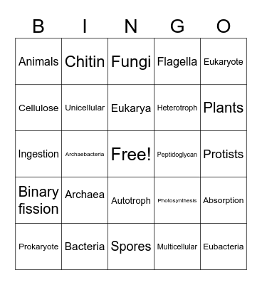 Kingdom Characteristics Bingo Card