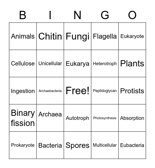 Kingdom Characteristics Bingo Card