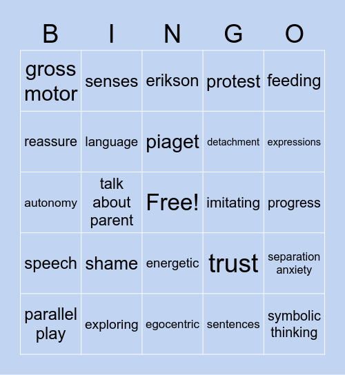 Developmental Stage Theory Bingo Card