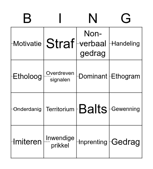 H4 begrippen bingo! Bingo Card