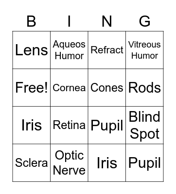 2.4 Vocabulary Bingo Card