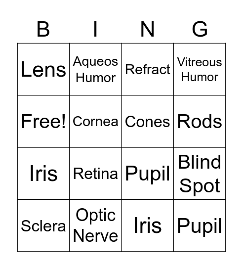 2.4 Vocabulary Bingo Card