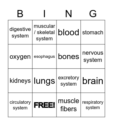Human Body Systems Bingo Card