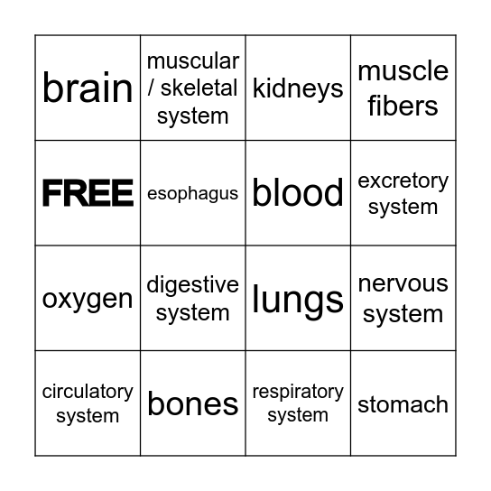 HUMAN BODY SYSTEMS Bingo Card