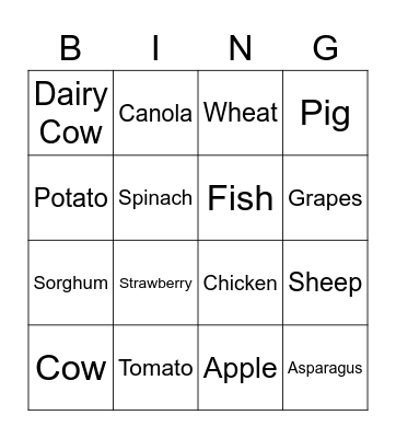 Plants and Animals for Food Bingo Card