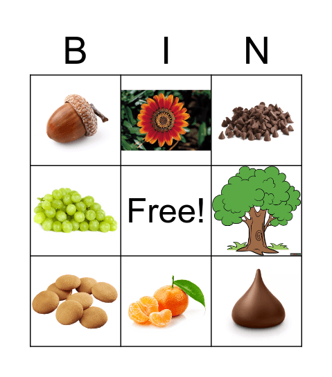 Cooking Bingo (Plant Edition) Bingo Card