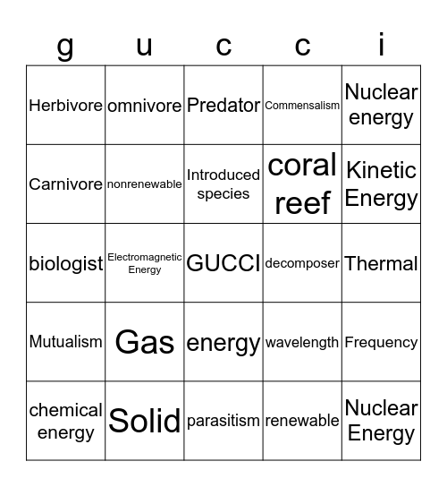 Gucci Flip Flops Bingo Card