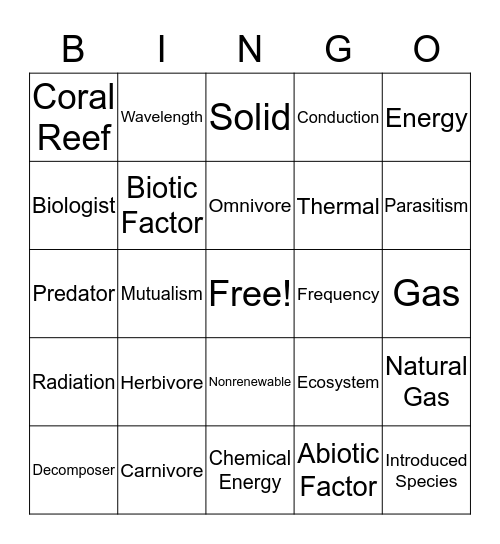 Amara Bingo Card