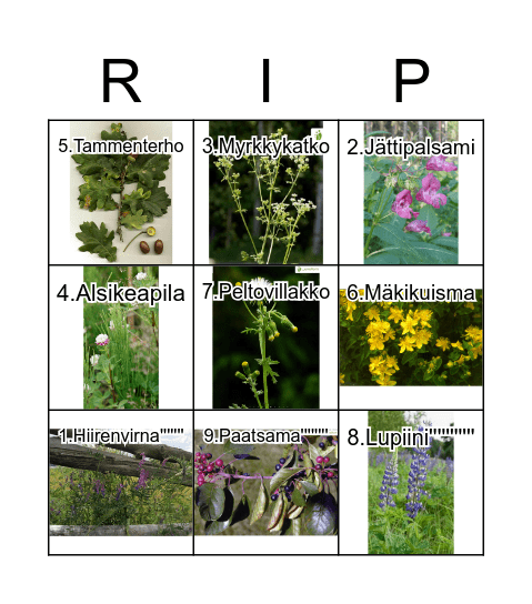 Konin Kalmo Bingo Card