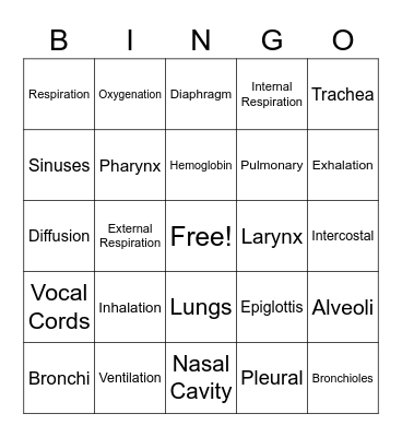 Respiratory System Bingo Card