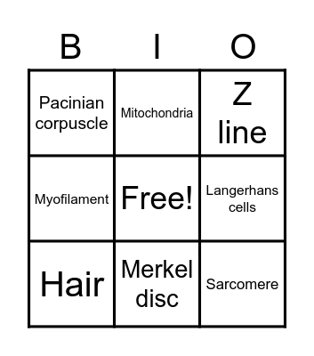 Bingo sa Umaga! Bingo Card