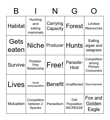 Communities and Interactions Bingo Card