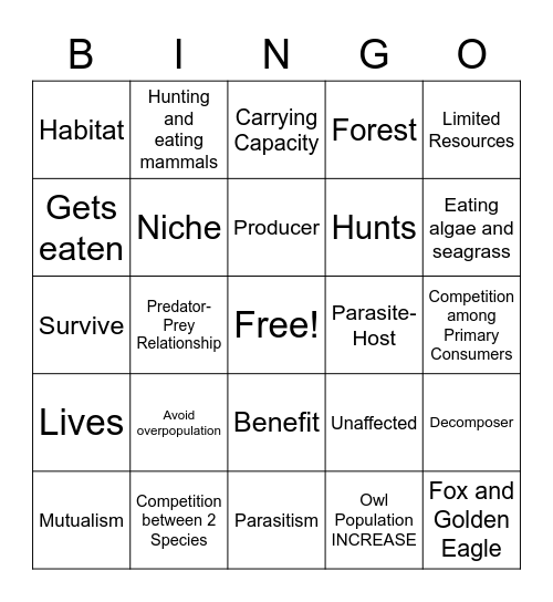 Communities and Interactions Bingo Card