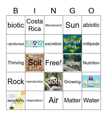Ecosystem Bingo Card