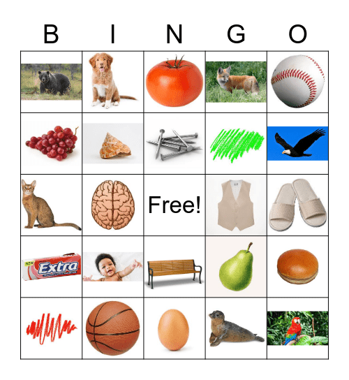 Picture Naming Bingo Card